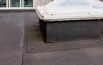 disadvantages of Eldroth flat roofs
